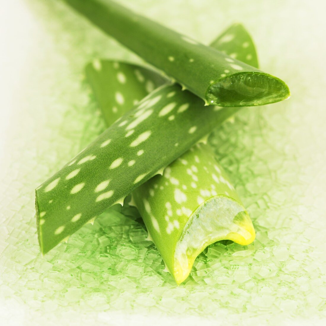 Aloe-Vera-Blätter auf grüner Keramik
