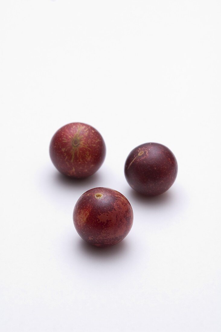 Three Camu Camu fruits (Fruit very rich in vitamin C, Peru)