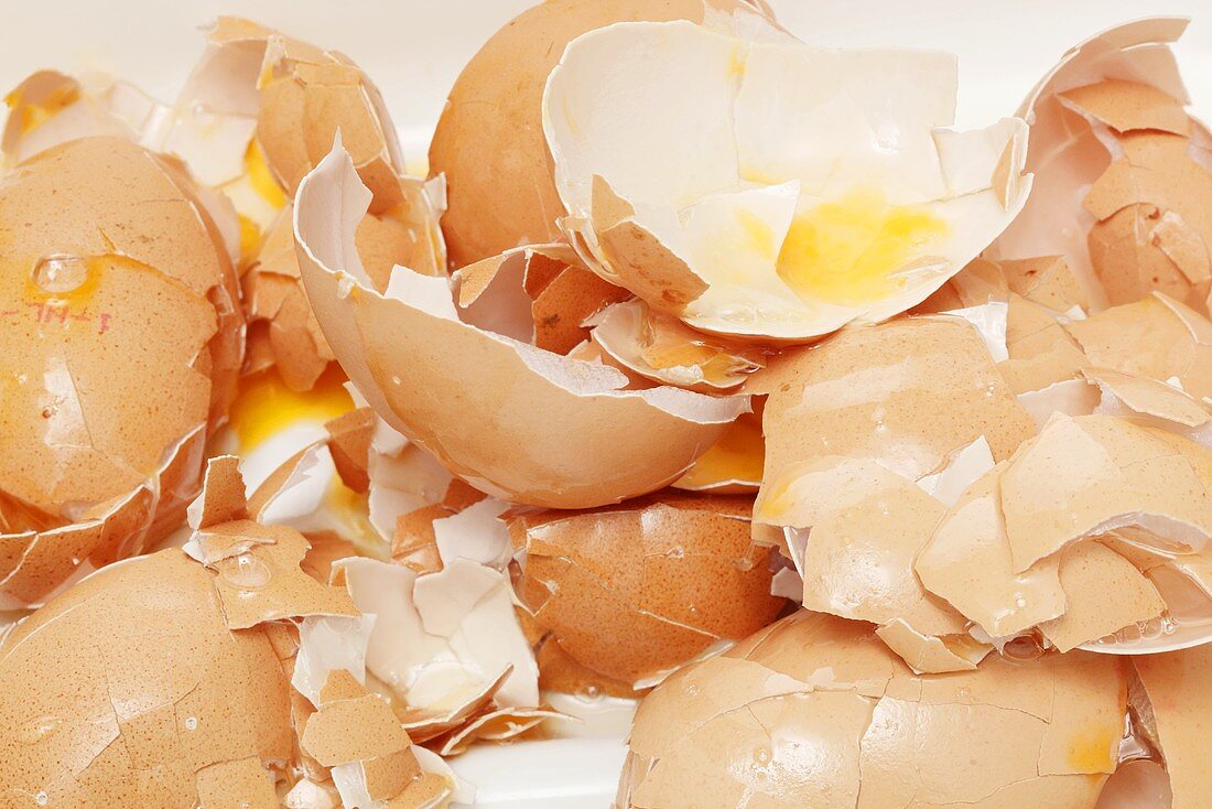 Broken eggshells
