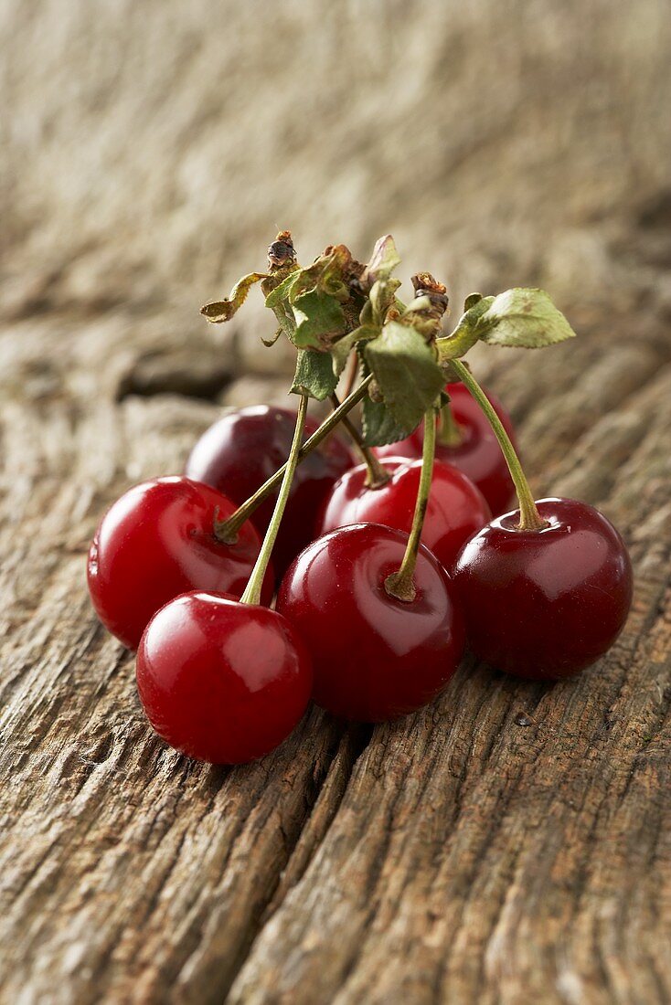 Morello cherries on wooden background