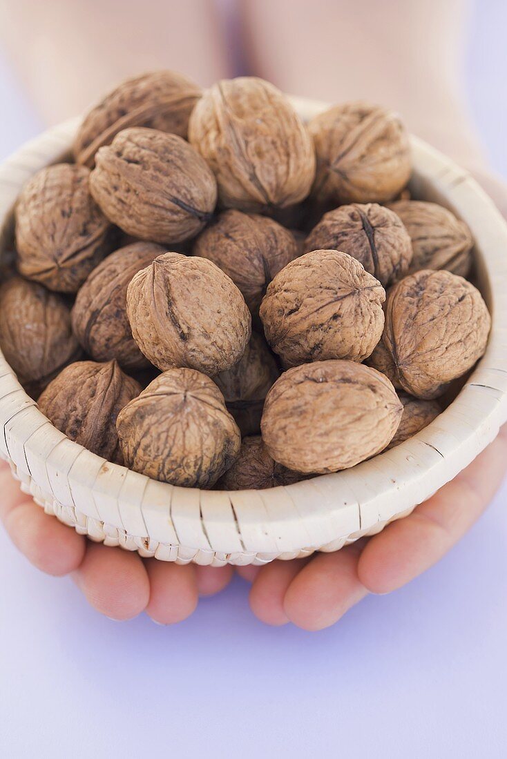 Hands holding a basket of walnuts