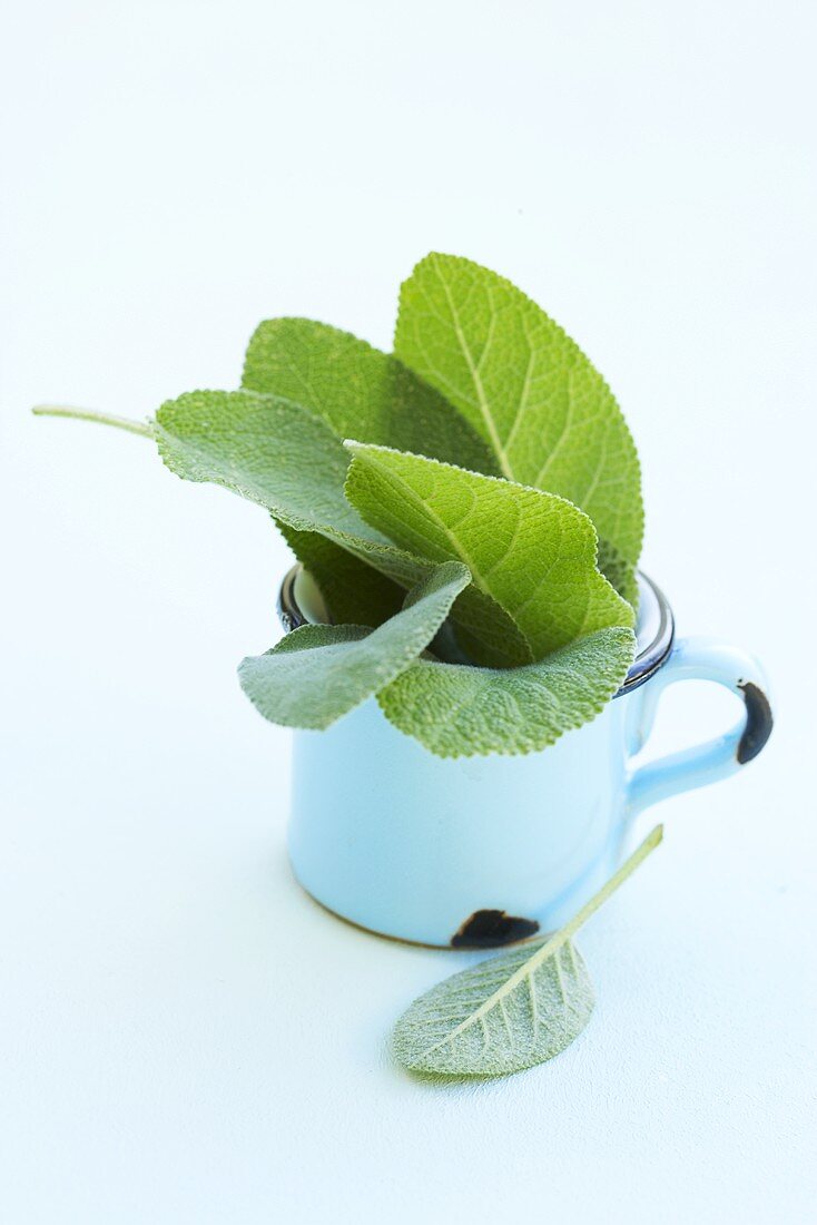 Sage leaves in a mug