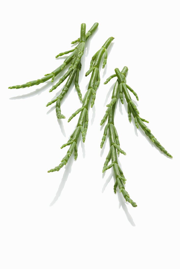 Samphire