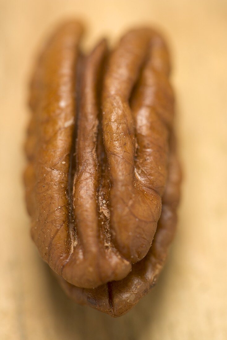 One pecan (close-up)