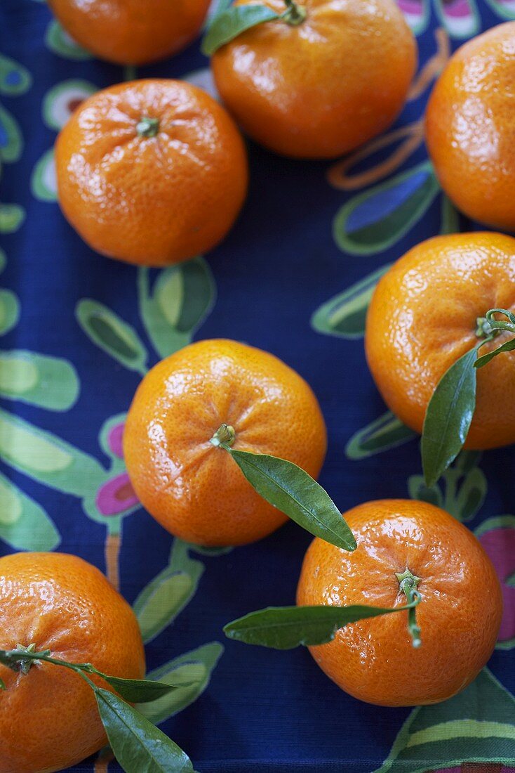Mandarin oranges