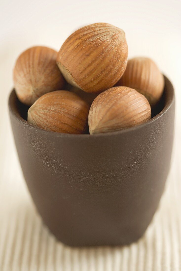 Several hazelnuts in brown pot