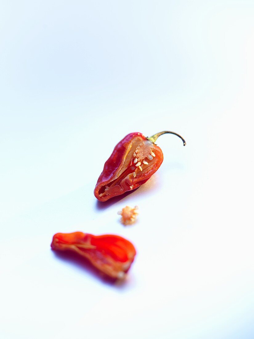 Habanero chilli