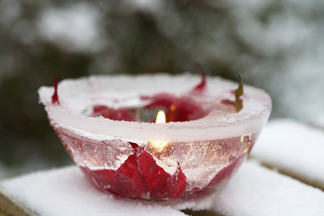Schale aus Eis mit Weihnachtssternblüten und Kerze