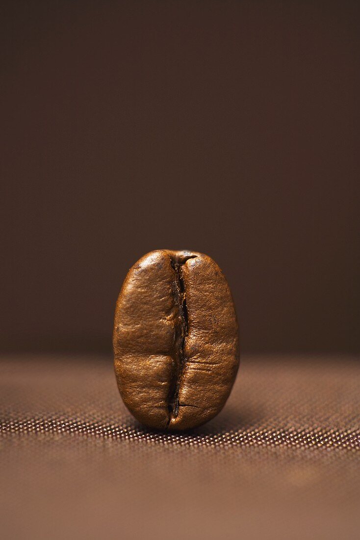 A coffee bean