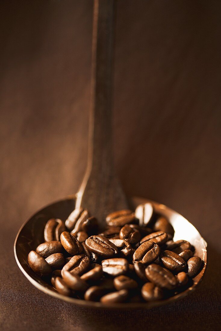 Kaffeebohnen auf Holzlöffel