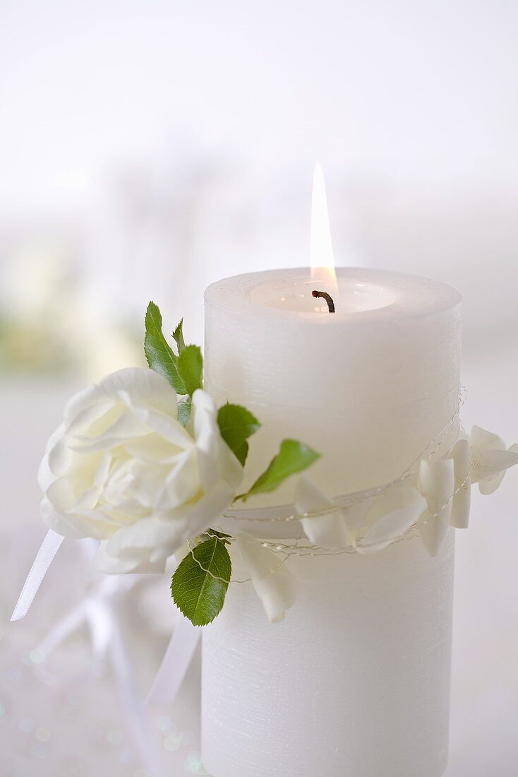 Burning candle with white rose