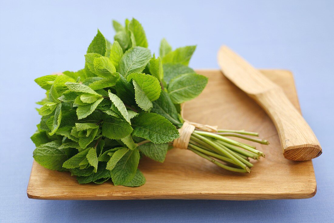 A bunch of fresh mint on a wooden board with wooden knife