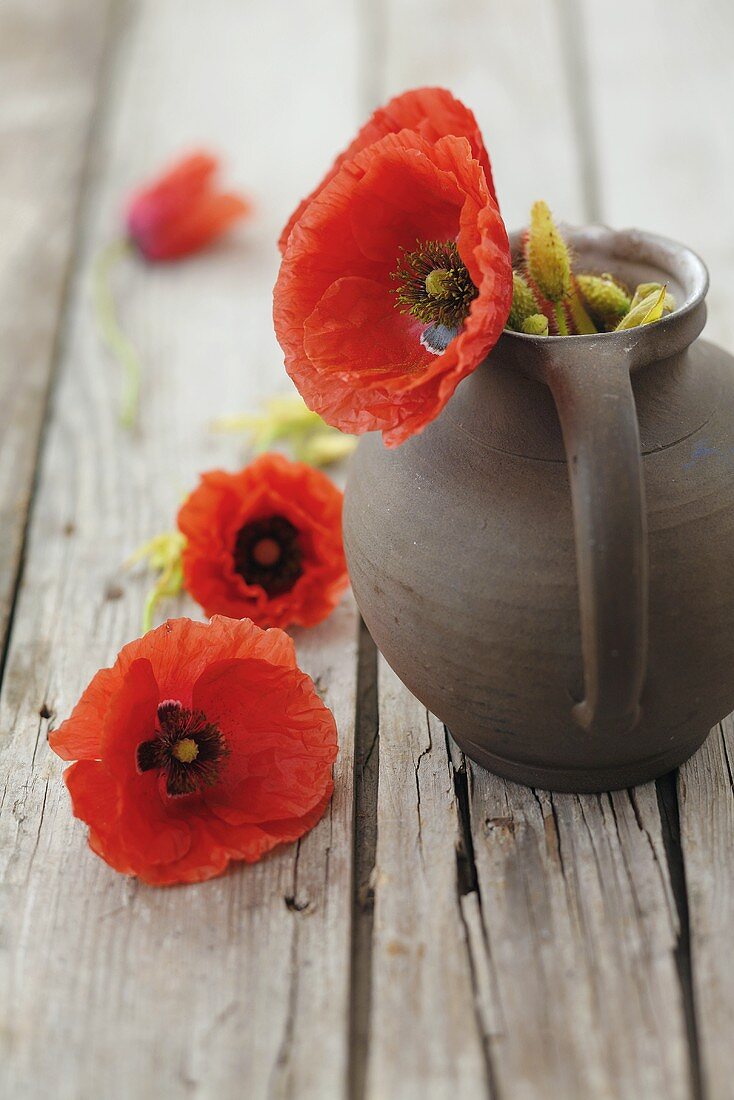 Mohnblüten mit einem Krug auf Holzuntergrund