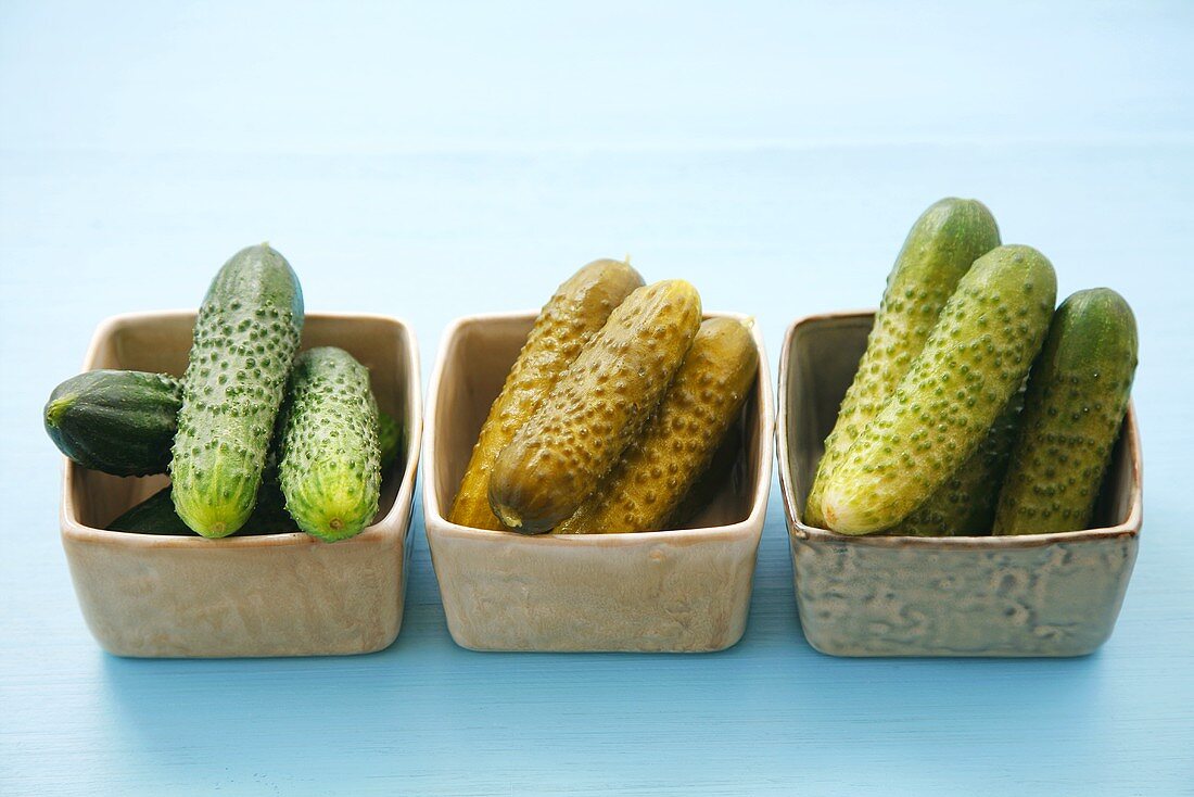 Raw pickling cucumbers, mild and strong pickled gherkins