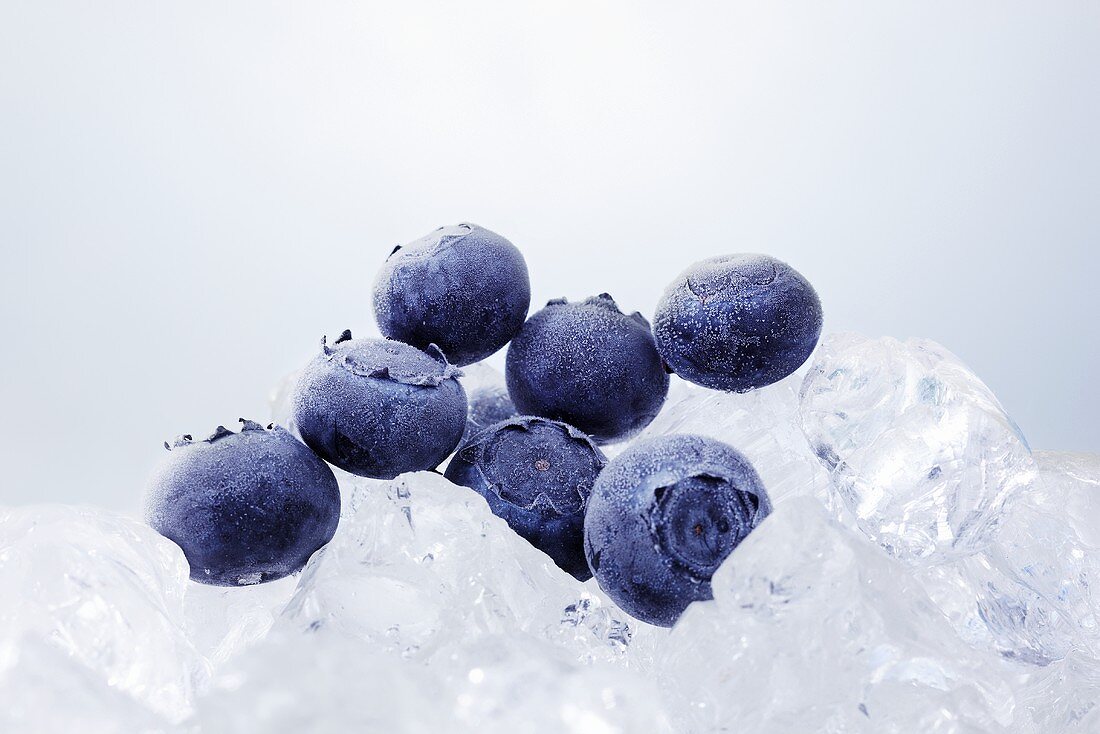 Blueberries on ice cubes