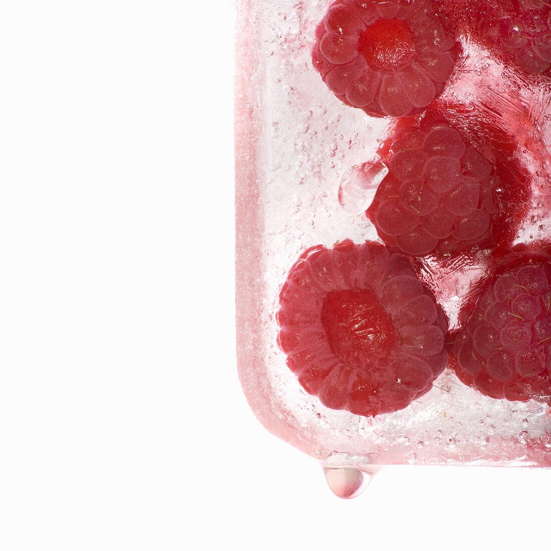 Raspberries in a block of ice