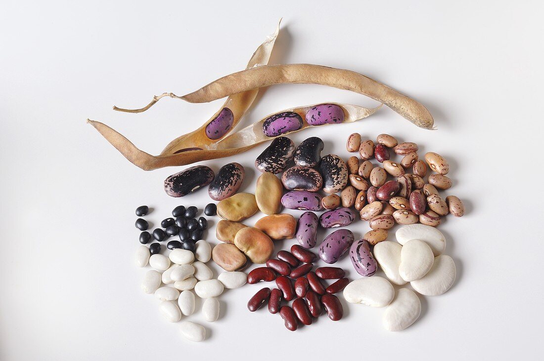 Various types of beans