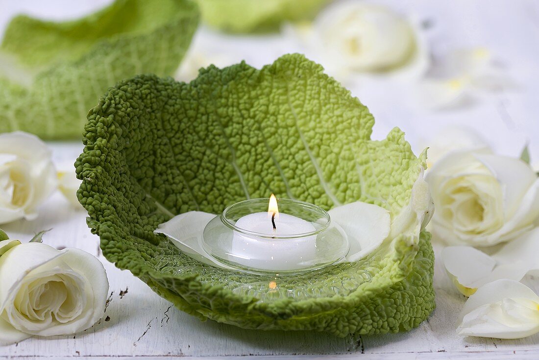 Tealight in savoy cabbage leaf