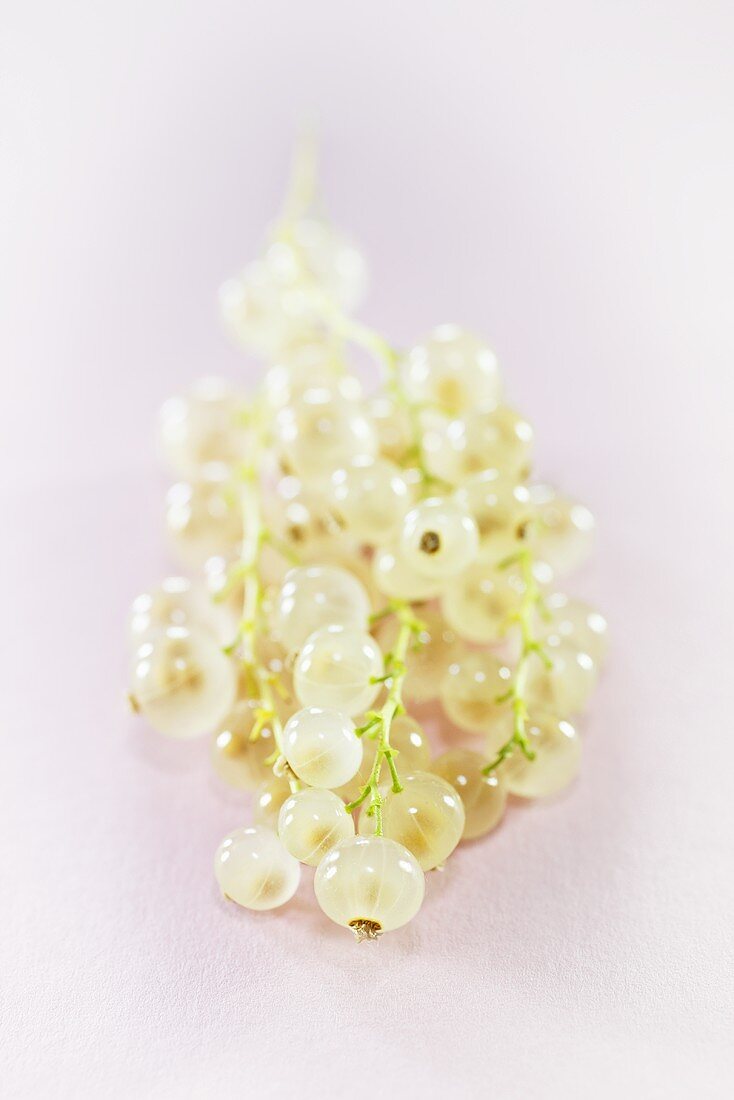 White currants