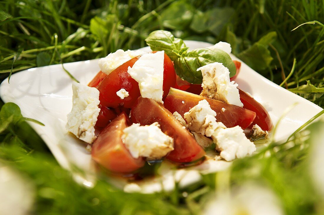 Tomaten-Schafskäse-Salat