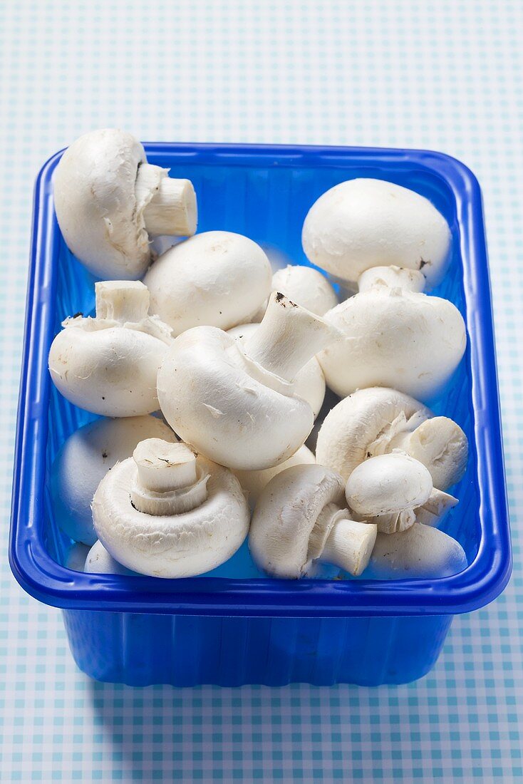 Fresh button mushrooms in a plastic punnet