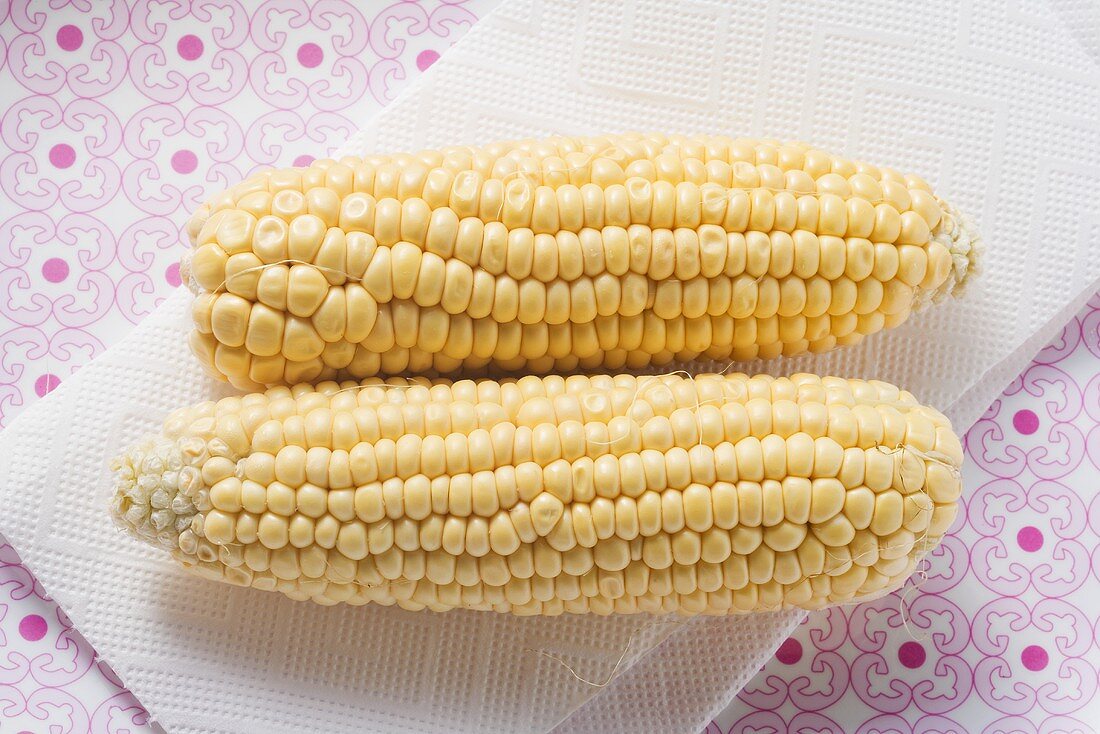 Two cobs of corn