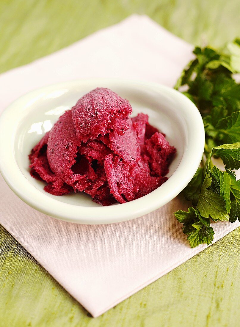 Rotes Stachelbeersorbet