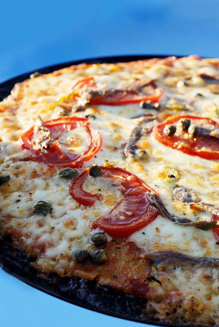 Pizza topped with tomatoes, capers and anchovies (detail)