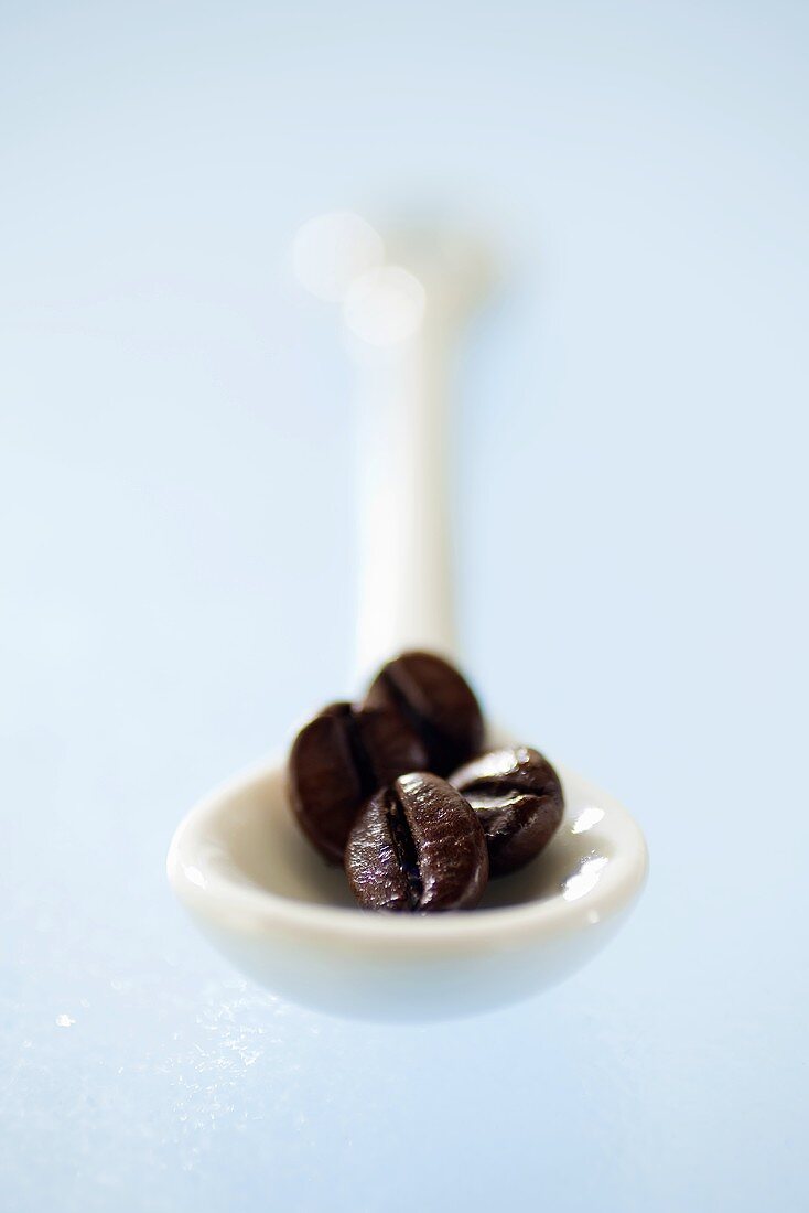 Roasted Arabica coffee beans on porcelain spoon