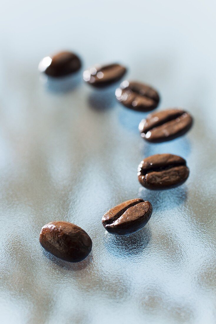 Sieben geröstete Arabica Kaffeebohnen auf einer Glasplatte