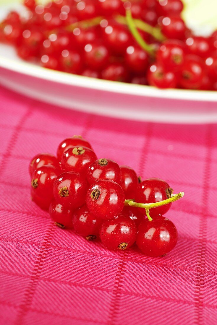 Rote Johannisbeeren auf Geschirrtuch und Teller