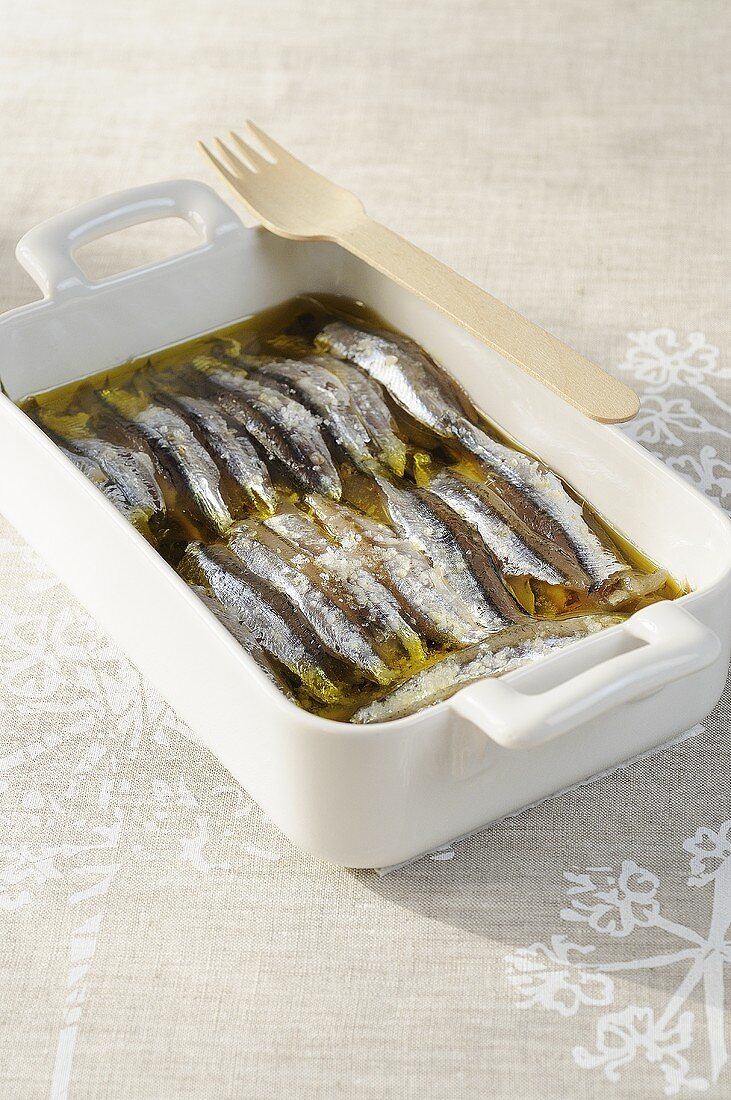 Sardellen mit Salz in Olivenöl eingelegt