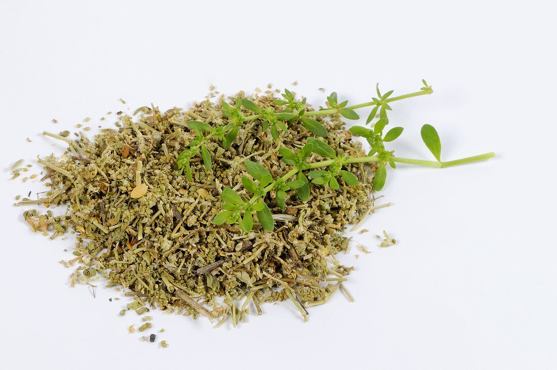 Rupturewort, dried and fresh (Herniaria glabra)