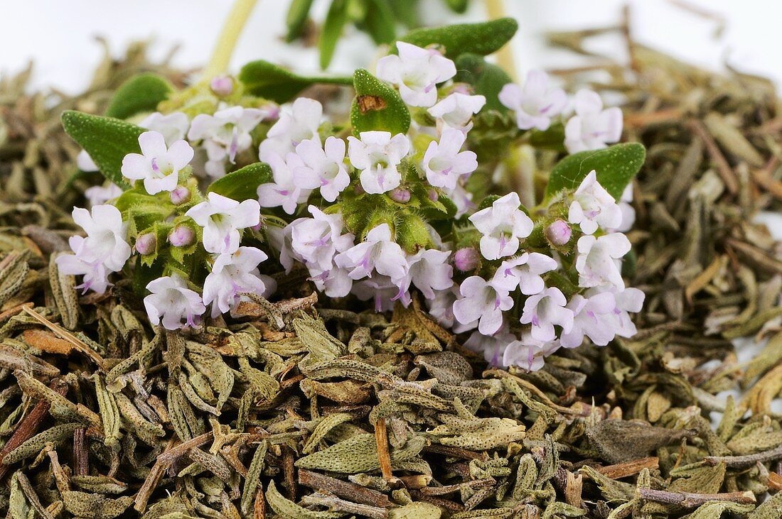 Thyme, fresh and dried