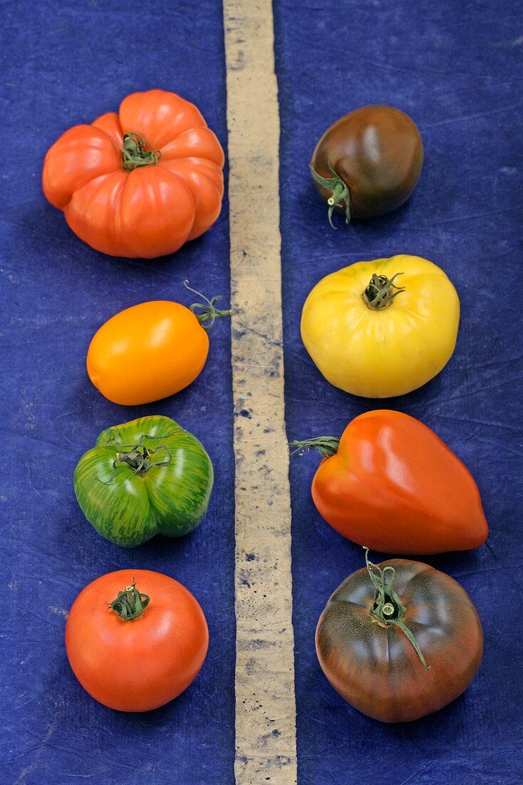 Various types of tomatoes