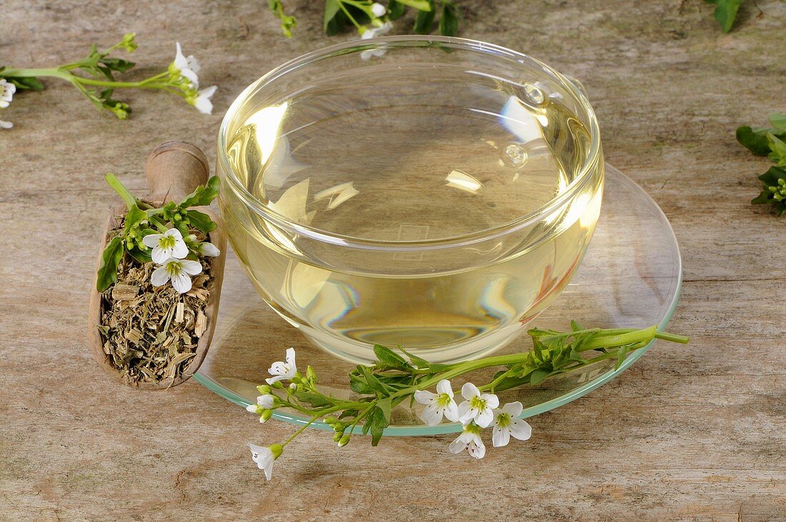 Watercress tea (Nasturtium officinale)