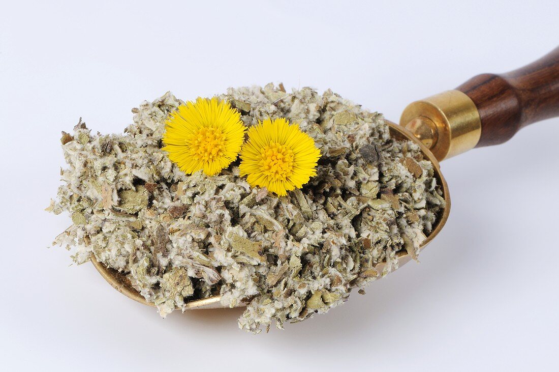 Coltsfoot, dried leaves and flowers (Tussilago farfara)