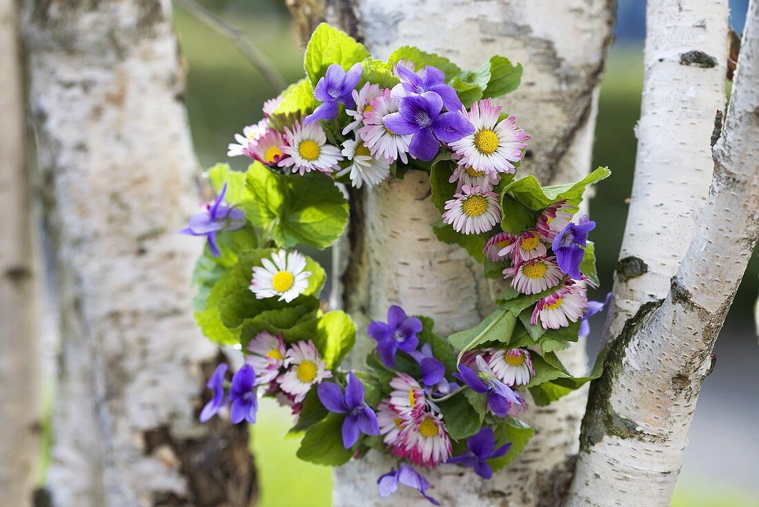 Kränzchen aus Duftveilchen, Veilchenblättern & Gänseblümchen