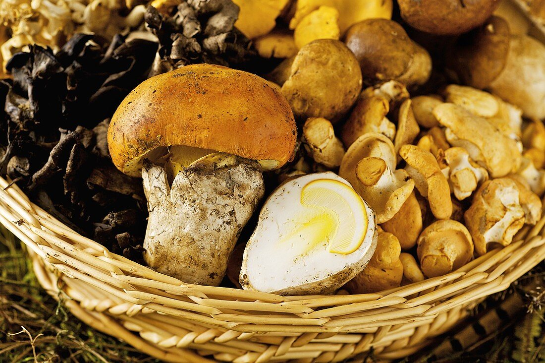 A basket of assorted mushrooms