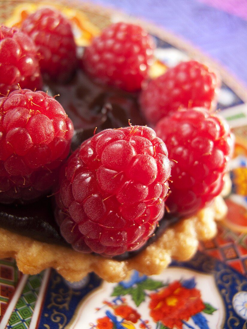 Raspberry tart with chocolate cream