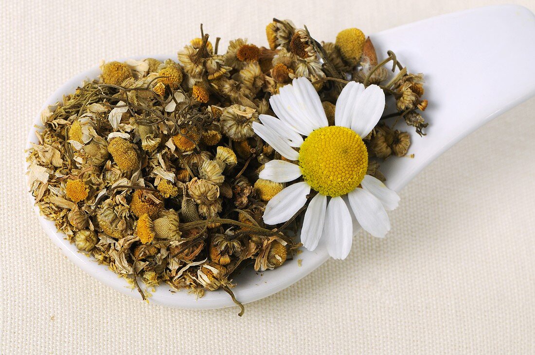 Dried chamomile flowers on a spoon