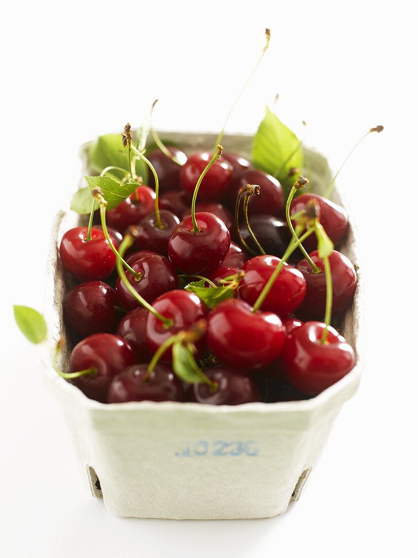 Fresh cherries with leaves in cardboard punnet