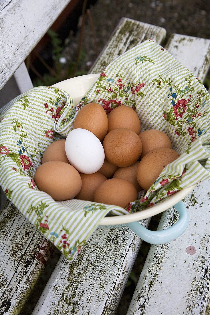 Fresh eggs in a dish