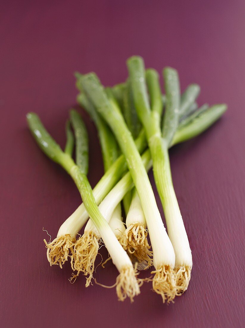 Fresh spring onions