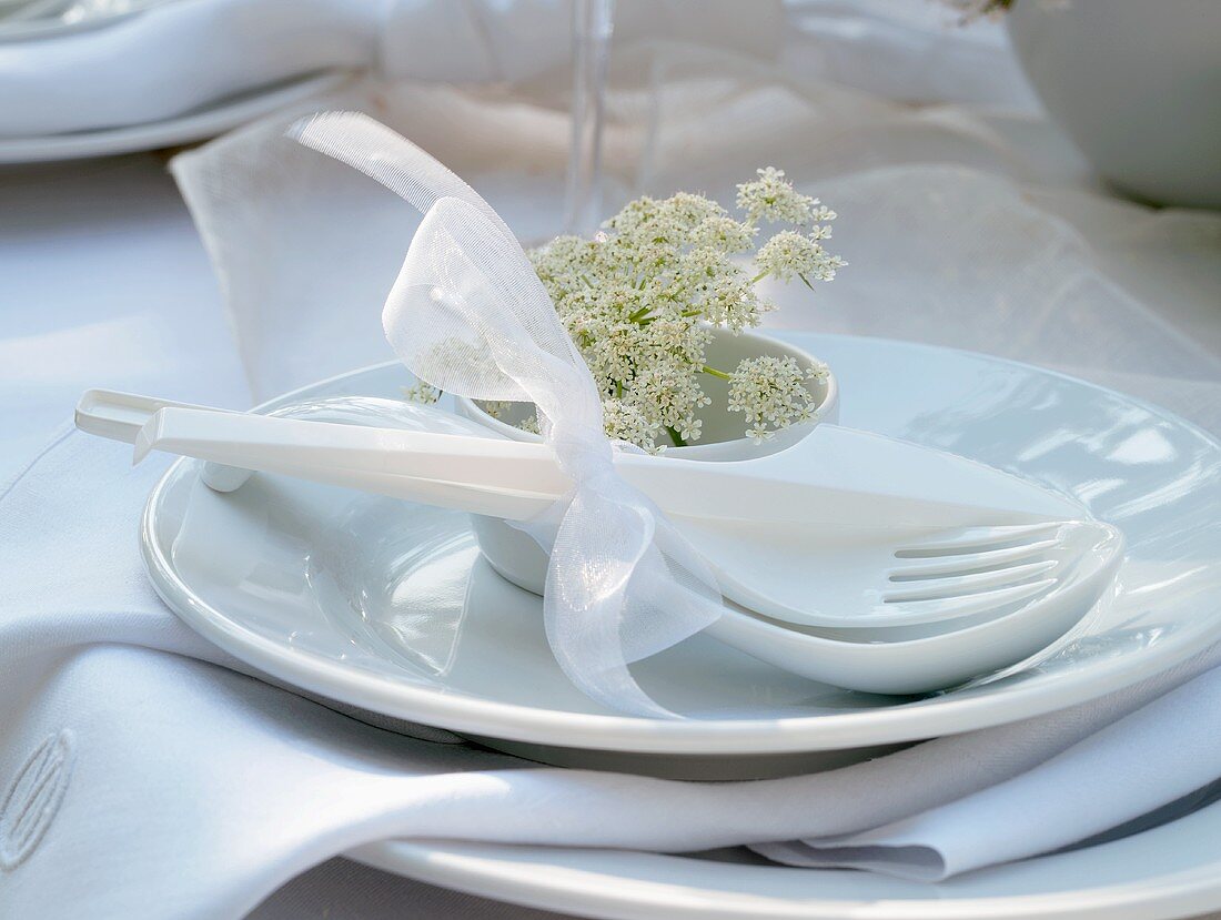 Plastic cutlery with porcelain spoon and wild carrot blossom