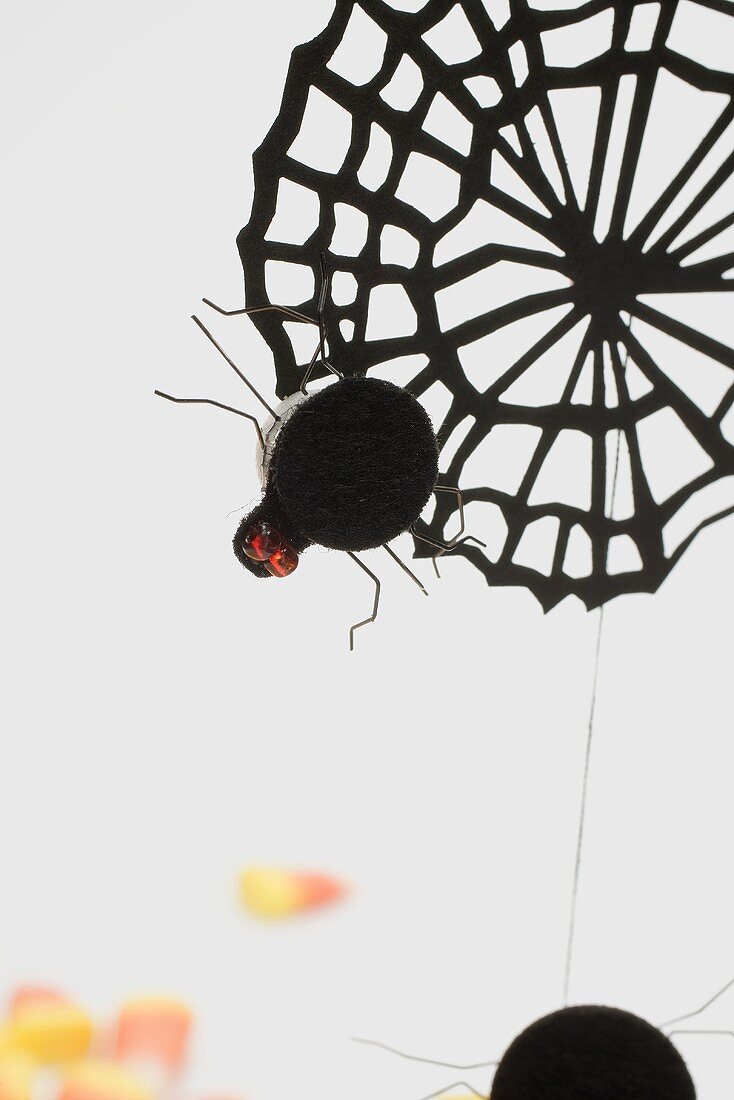 Cobweb and spider decoration for Halloween