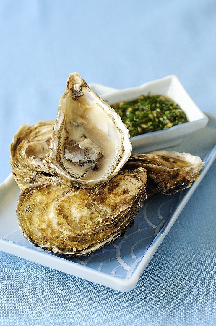 Oysters with herb sauce
