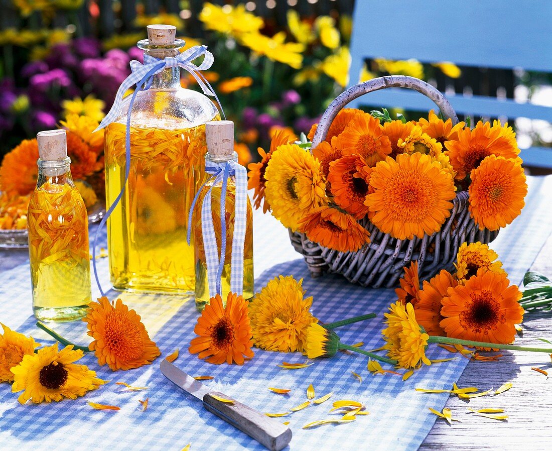 Marigolds in basket and bottles of marigold oil