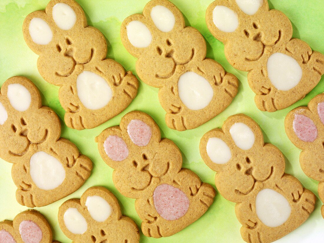 Easter Bunny biscuits