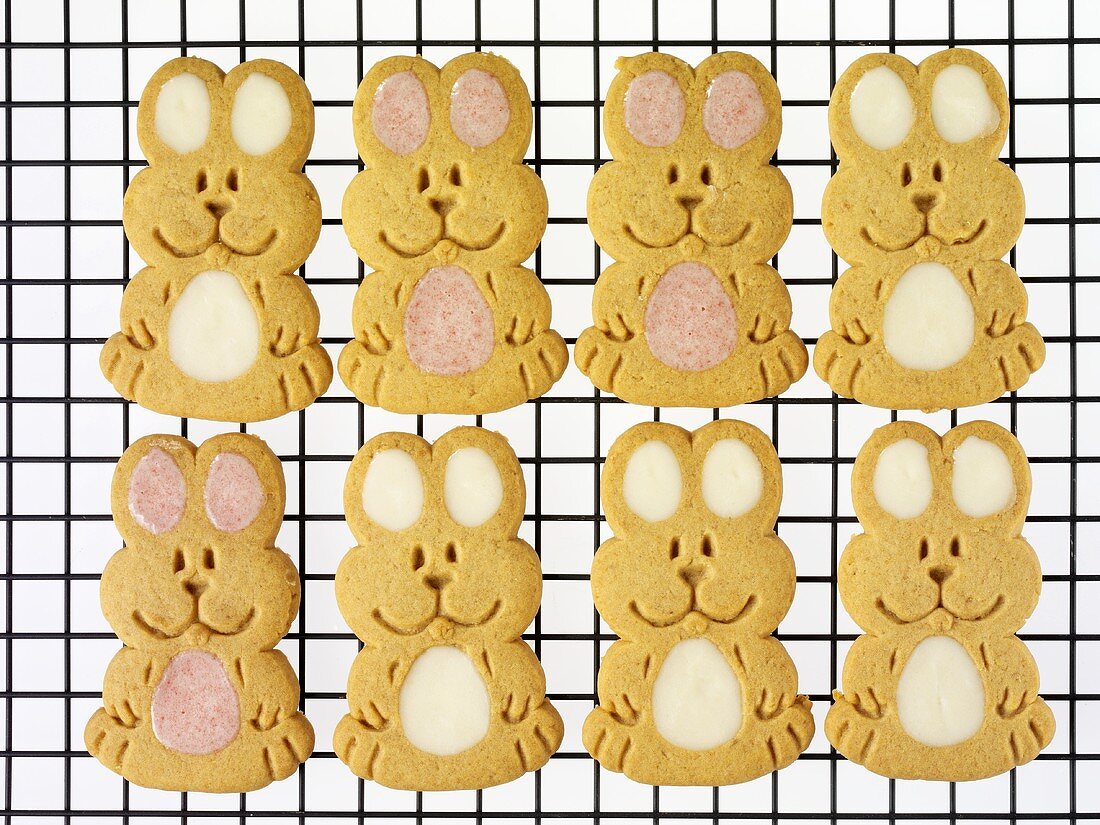 Easter Bunny biscuits